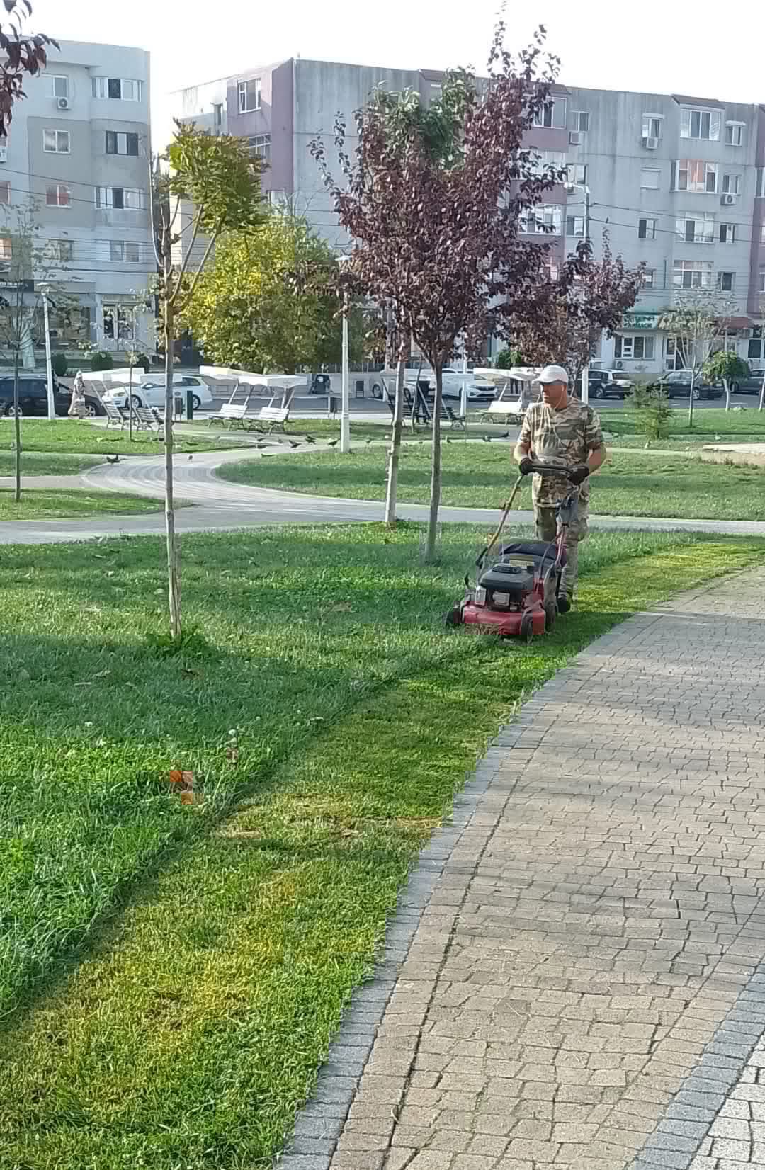 Spații verzi Năvodari — imagine 2